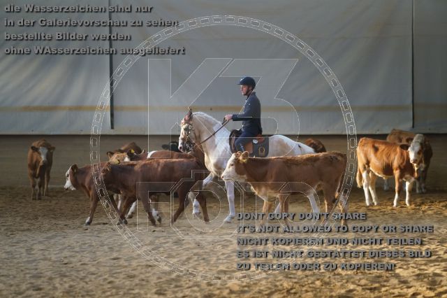 s_K3F02512.JPG